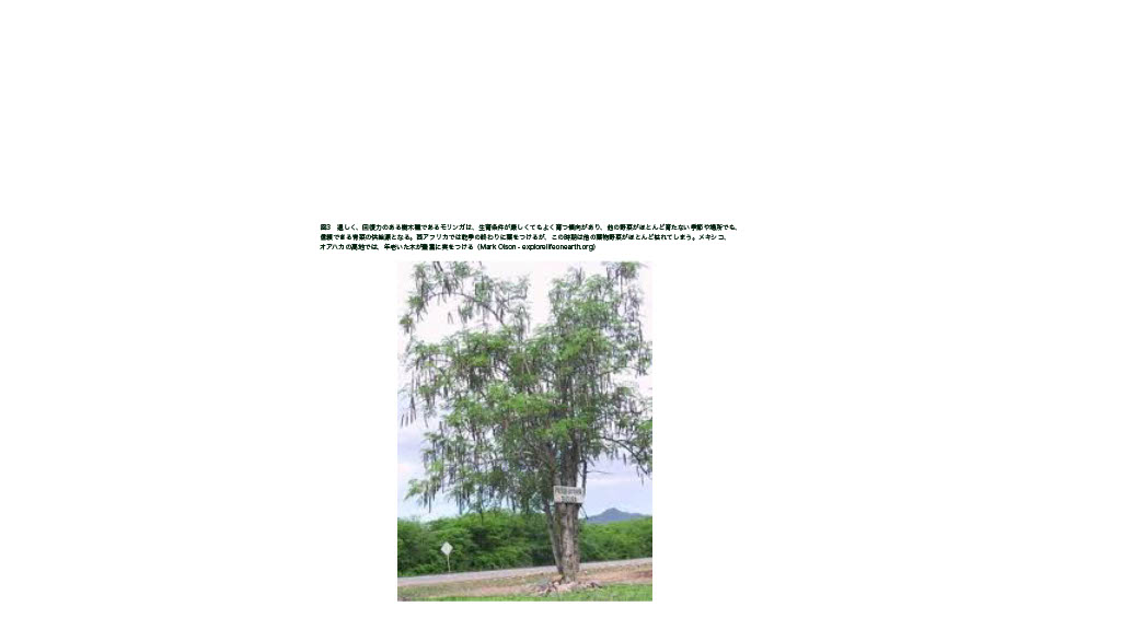 1749530755297-99af4c7c-d941-48f5-9109-8b7c04cc9320_3.jpg