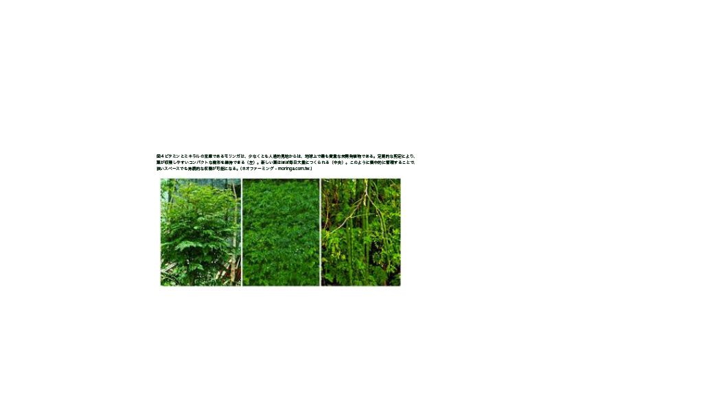1749530755297-99af4c7c-d941-48f5-9109-8b7c04cc9320_4.jpg